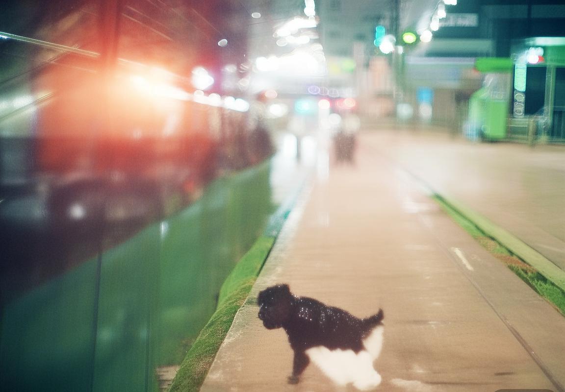 呆妹儿素颜视频引热议，幼态脸被疑美颜滤镜，再掀网络真实性讨论-雷火竞技